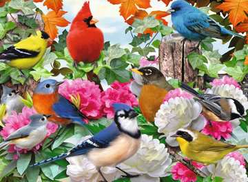 Garden Birds (500 pc)