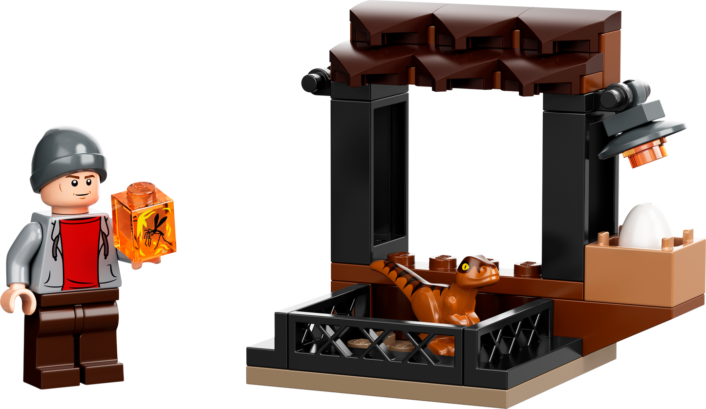 Dinosaur Market
