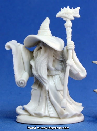Dark Haven Bones: Galladon, Male Wizard