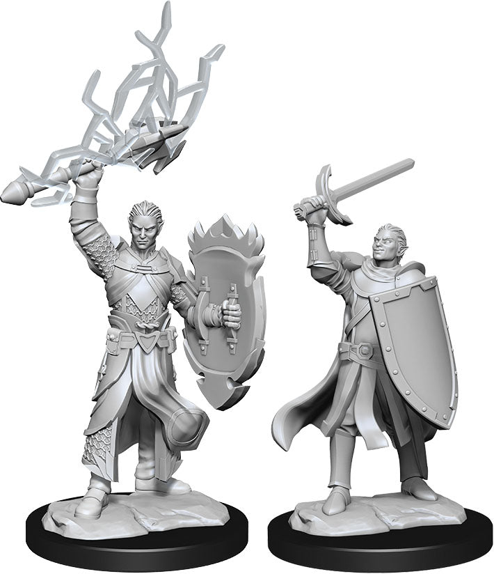 Dungeons and Dragons: Nolzur's Marvelous Unpainted Miniatures - W14 Half-Elf Paladin Male