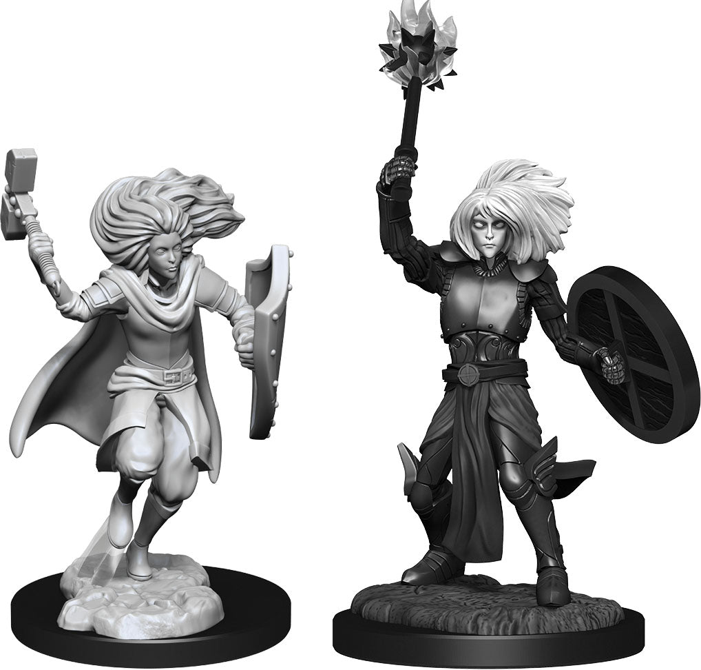 Dungeons and Dragons: Nolzur's Marvelous Unpainted Miniatures - W14 Changeling Cleric Male