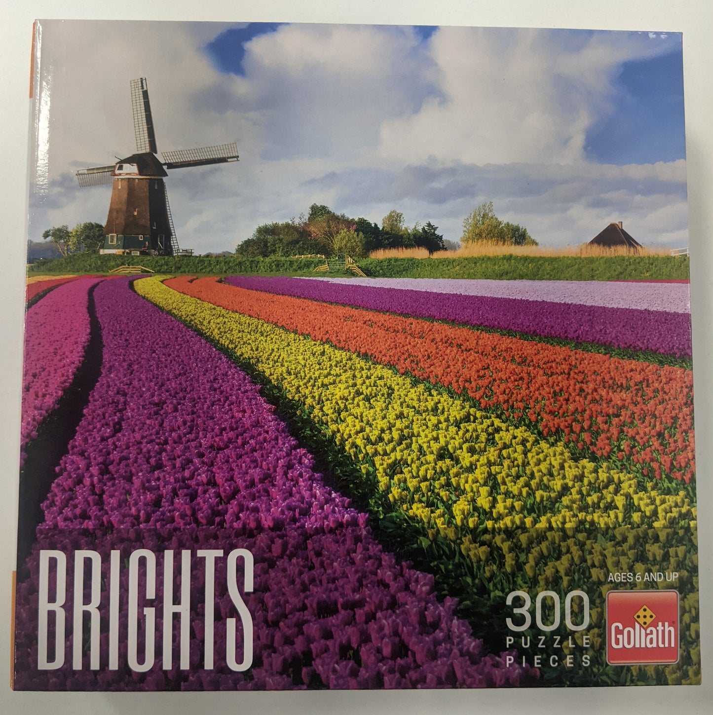 Brights Ast: Tulips (300 pc)