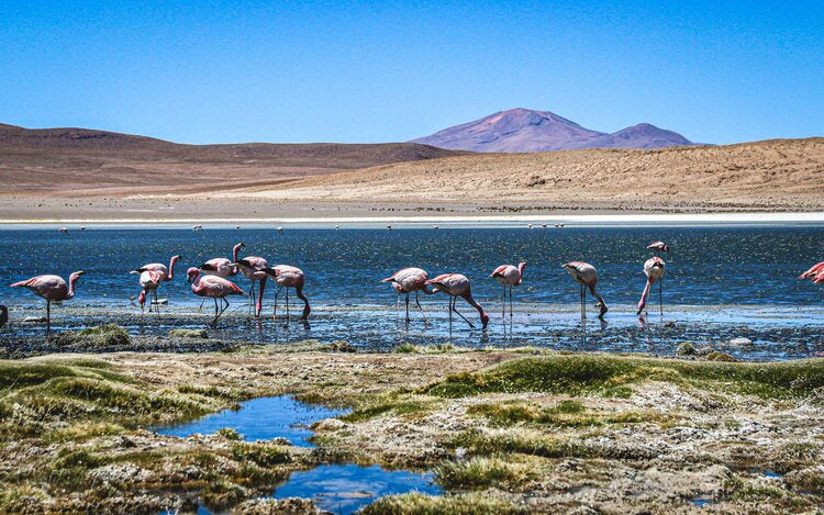 Saral De Uyuni #2 (1000 pc)