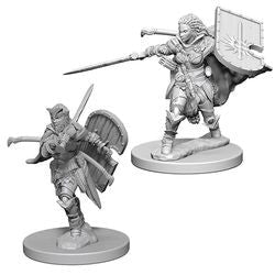 Pathfinder: Deep Cuts Unpainted Miniatures - Human Female Paladin - Boardlandia