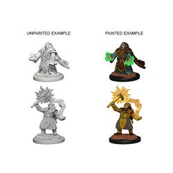 Dungeons & Dragons Nolzur's Marvelous Unpainted Miniatures: Dwarf Female Cleric
