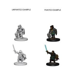 Dungeons & Dragons Nolzur's Marvelous Unpainted Miniatures: Dwarf Female Paladin