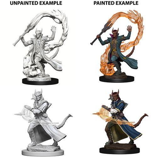 Dungeons and Dragons: Nolzur's Marvelous Unpainted Miniatures - Male Tiefling Sorcerer
