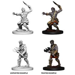 Dungeons & Dragons - Nolzur's Marvelous Unpainted Miniatures - Nameless One