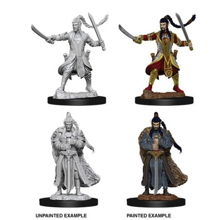 Dungeons & Dragons - Nolzur's Marvelous Unpainted Miniatures - Male Elf Paladin