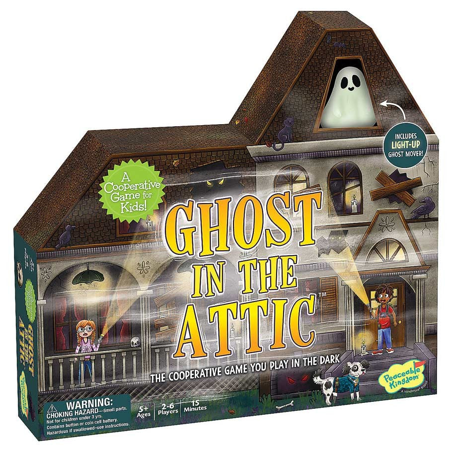 Ghost in the Attic Cooperative Game