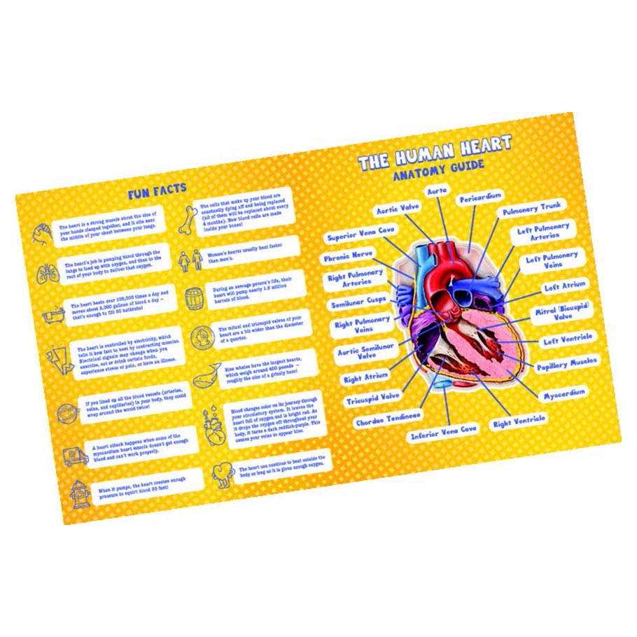 Puzzle - Dr Livingston - Human Heart 100pc