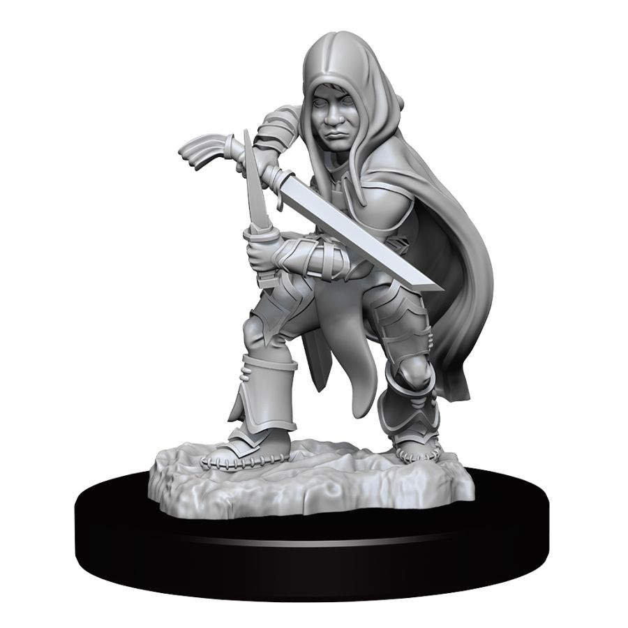 DUNGEONS AND DRAGONS NOLZUR'S MARVELOUS MINIATURES: W13 MALE HALFLING ROGUE