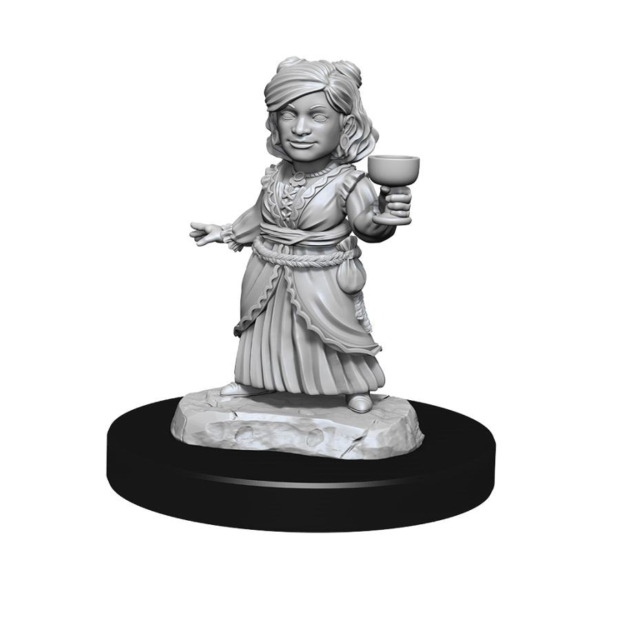 DUNGEONS AND DRAGONS NOLZUR'S MARVELOUS MINIATURES: W13 SILVER DRAGON WYRMLING AND FEMALE HALFLING
