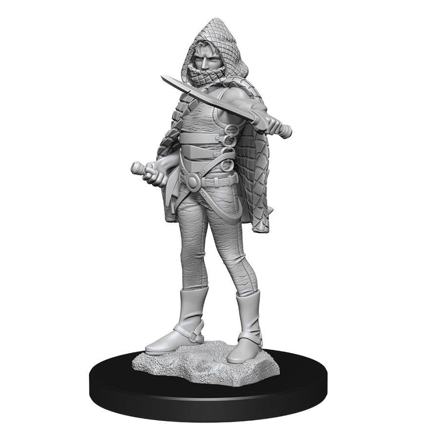 DUNGEONS AND DRAGONS NOLZUR'S MARVELOUS MINIATURES: W13 DARKLING ELDER AND DARKLINGS