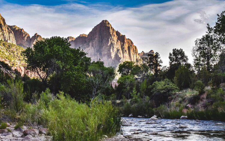 Zion National Park #6 (1000 pc)