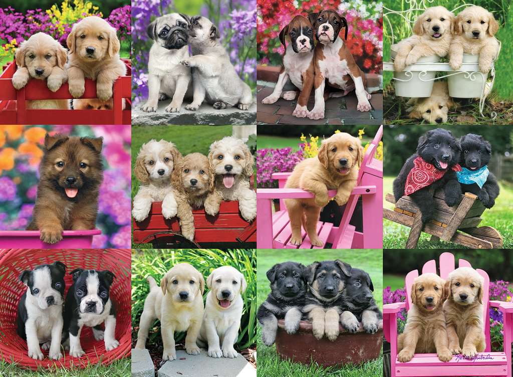 Puppy Pals (500 pc)