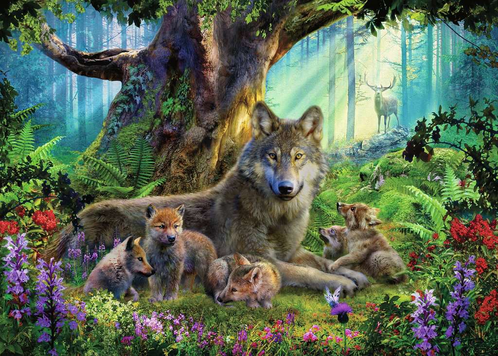 Wolves in The Forest