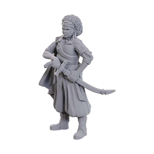 D&D Nolzur's Marvelous Unpainted Miniatures - W23 Ansalon Human Rogue