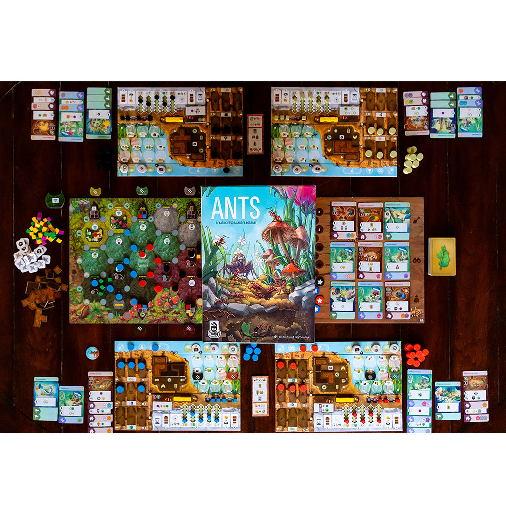 Ants - Pre-Order
