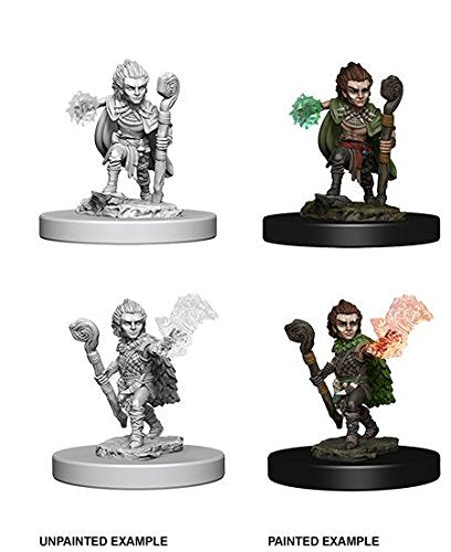 Pathfinder: Deep Cuts Unpainted Miniatures - Gnome Male Druid