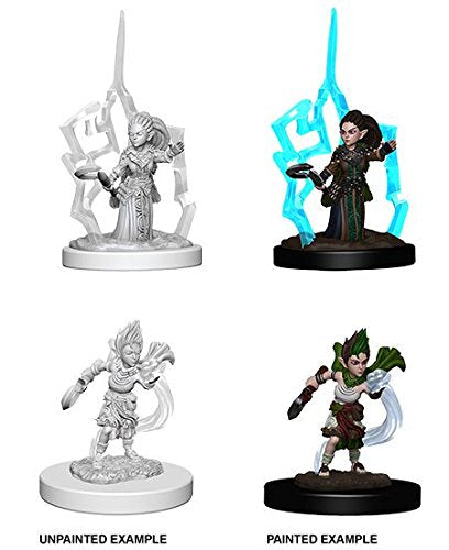 Pathfinder: Deep Cuts Unpainted Miniatures - Gnome Female Druid