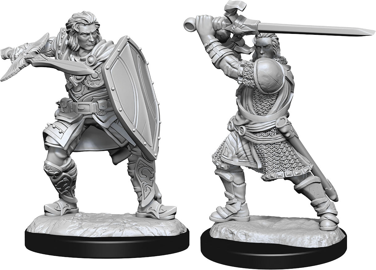 Dungeons and Dragons: Nolzur's Marvelous Unpainted Miniatures - W14 Human Paladin Male