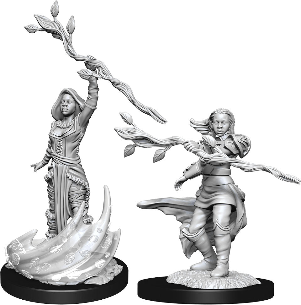 Dungeons and Dragons: Nolzur's Marvelous Unpainted Miniatures - W14 Human Druid Female