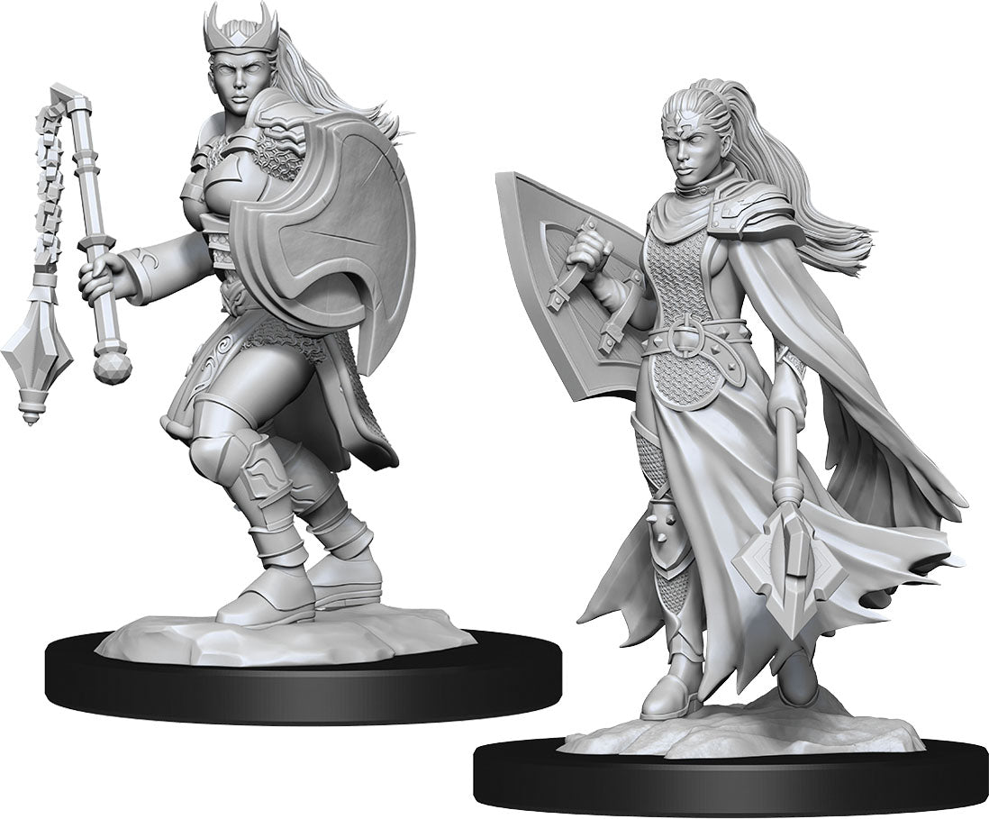 Dungeons and Dragons: Nolzur's Marvelous Unpainted Miniatures - W14 Kalashtar Cleric Female