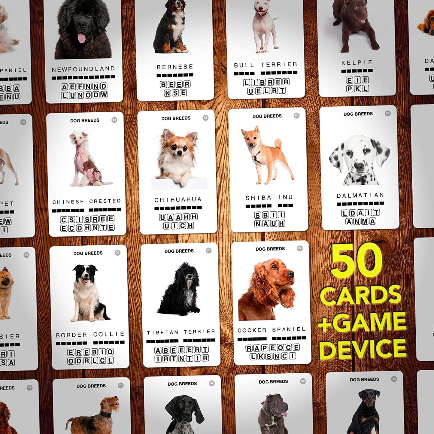 100 PICS Dog Breeds