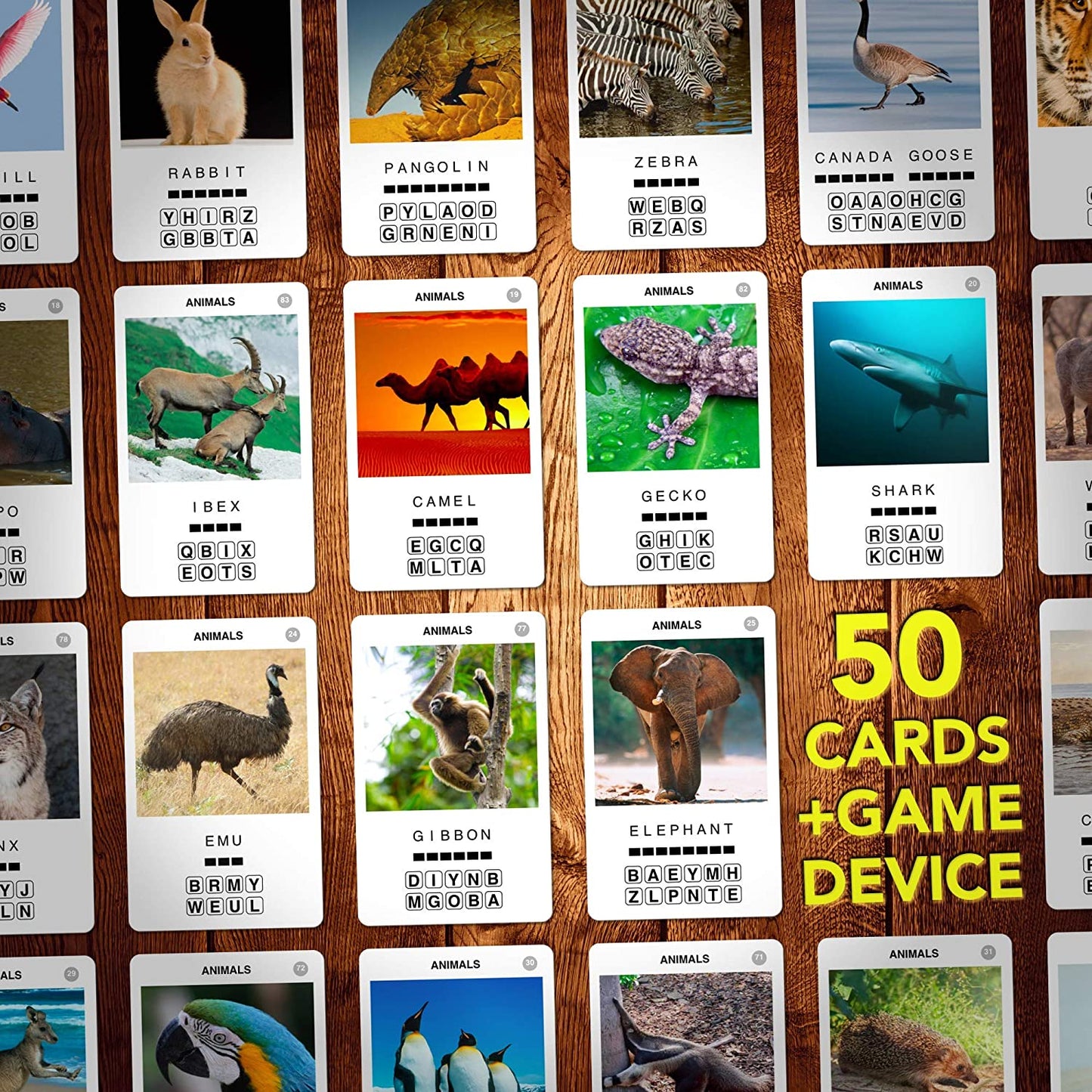 100 PICS Animals
