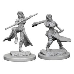 Dungeons & Dragons Nolzur's Marvelous Unpainted Miniatures: Human Female Monk