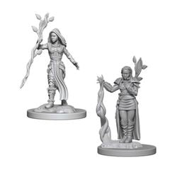 Dungeons & Dragons Nolzur's Marvelous Unpainted Miniatures: Dwarf Female Druid - Boardlandia