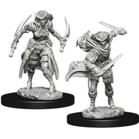 Dungeons & Dragons Nolzur's Marvelous Unpainted Miniatures: Tiefling Female Rogue