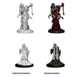 Dungeons and Dragons: Nolzur's Marvelous Unpainted Miniatures - Green Hag and Night Hag