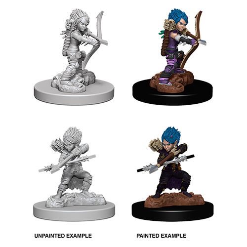 Pathfinder: Female Gnome Rogue
