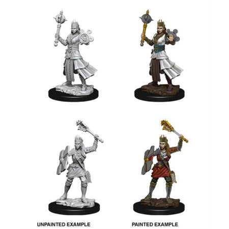 Nolzur's Marvelous Miniatures: Female Human Cleric