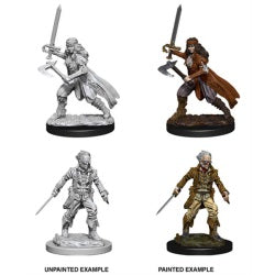 Dungeons & Dragons: Nolzur's Marvelous Unpainted Miniatures - Vampire Hunters