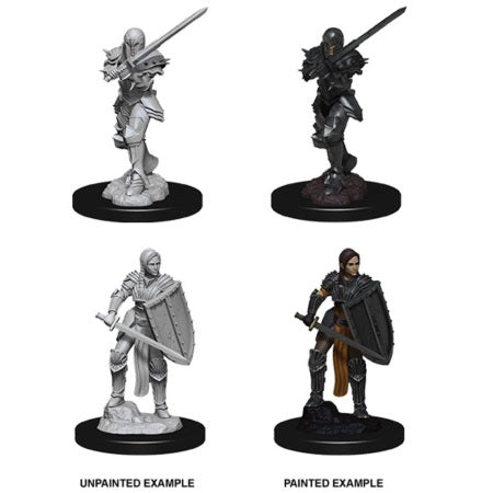Dungeons & Dragons Nolzur's Marvelous Unpainted Miniatures: Female Human Fighter