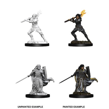 Dungeons & Dragons: Nolzur's Marvelous Unpainted Miniatures - Female Human Paladin