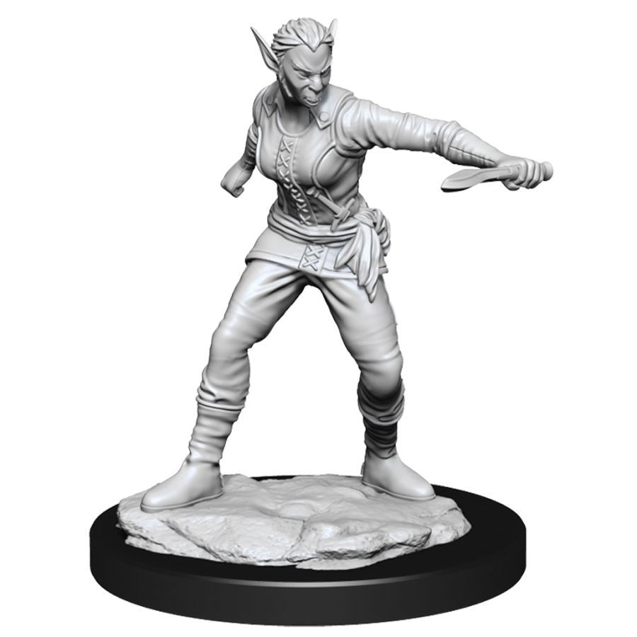 Dungeons And Dragons Nolzur'S Marvelous Miniatures: W13 Female Shifter Rogue Female