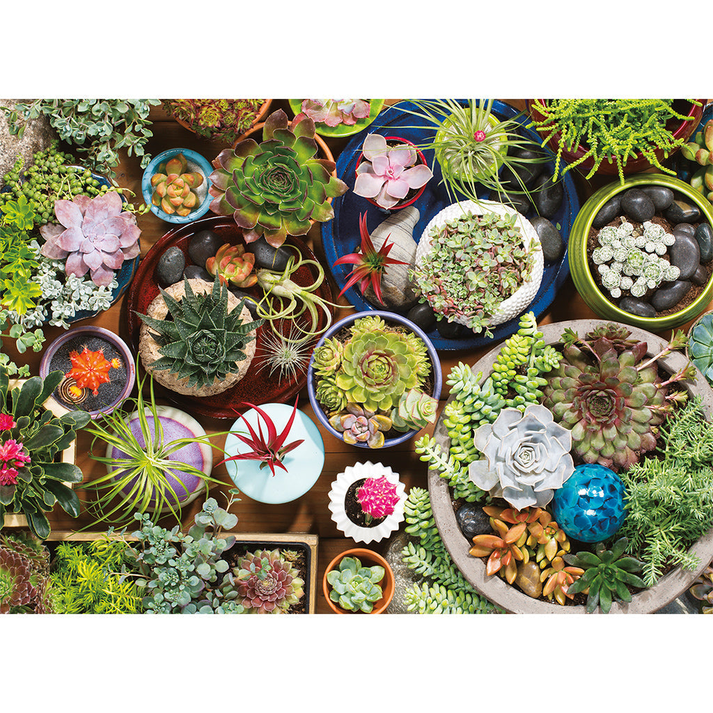 1000 Piece Succulents Puzzle