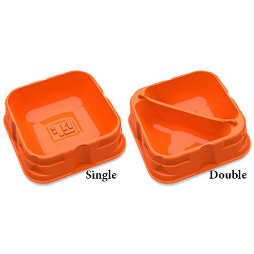 X-Trayz Orange