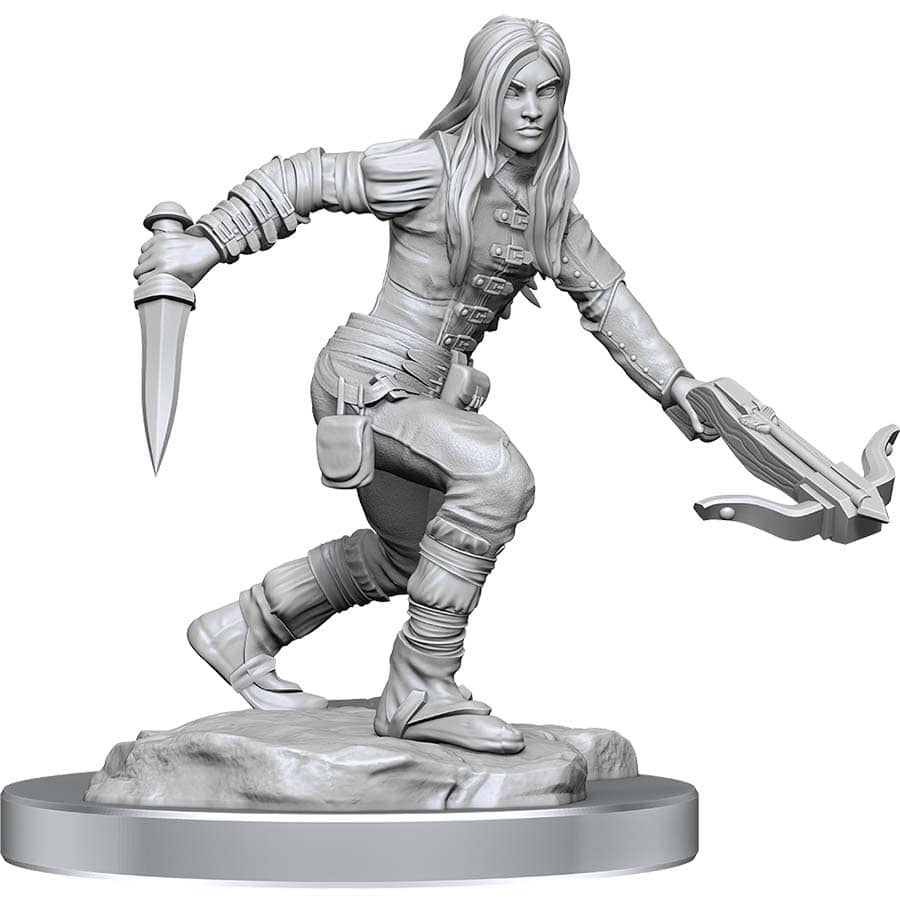 D&D Nolzur's Marvelous Unpainted Miniatures - W17 Female Half Elf Rouge