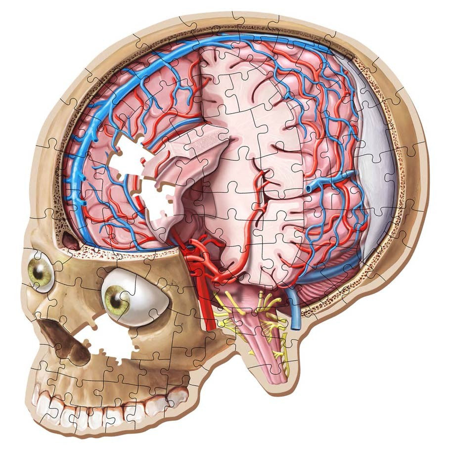 Puzzle - Dr Livingston - Human Brain 100pc