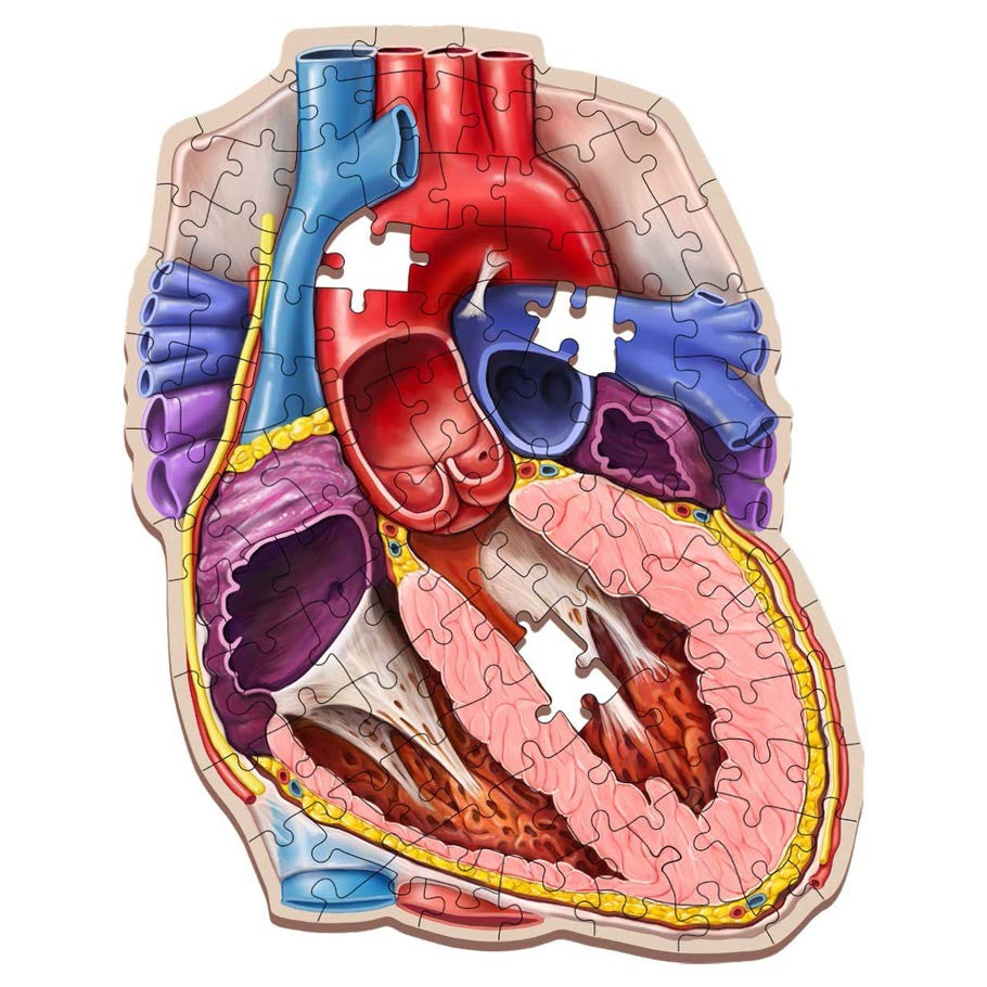 Puzzle - Dr Livingston - Human Heart 100pc