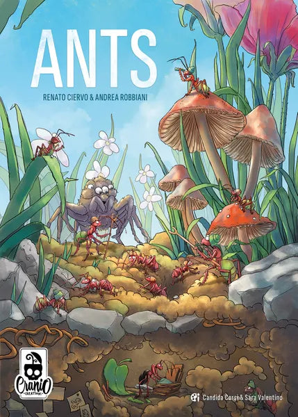 Ants - Pre-Order