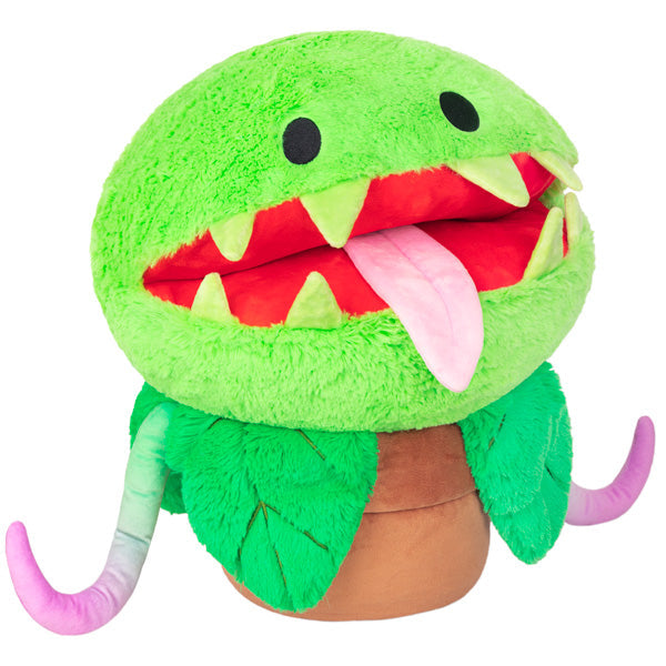 Venus Fly Trap