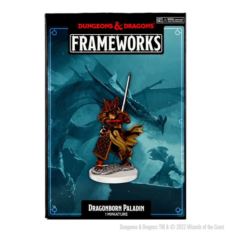 Dungeons And Dragons: Frameworks: W1 Male Dragonborn Paladin