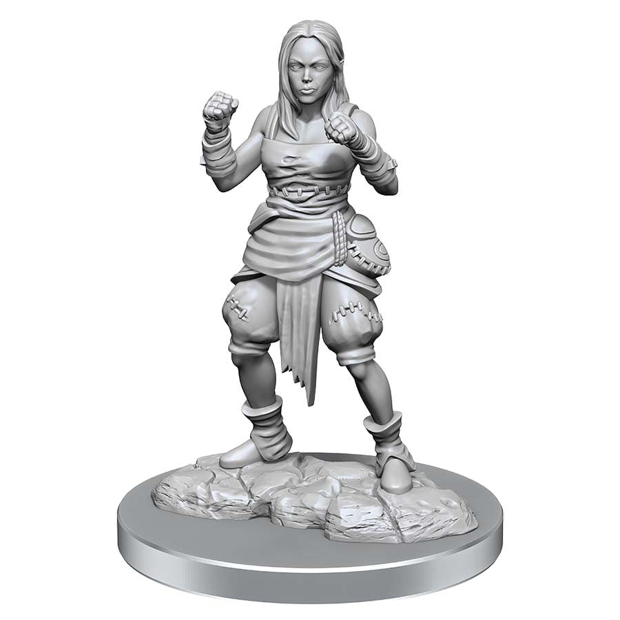 Pathfinder: Deep Cuts Unpainted Miniatures: W21 Female Half-Elf Monks